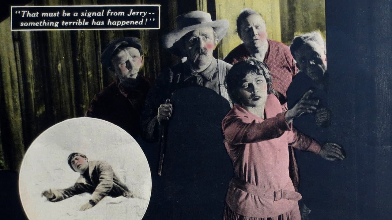 Backdrop – Peacock Feathers