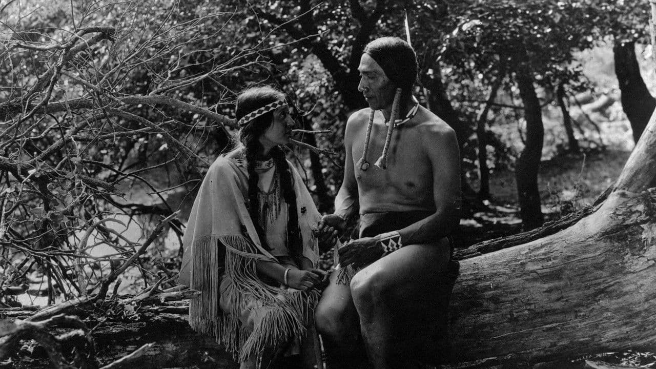 Backdrop – The Daughter of Dawn