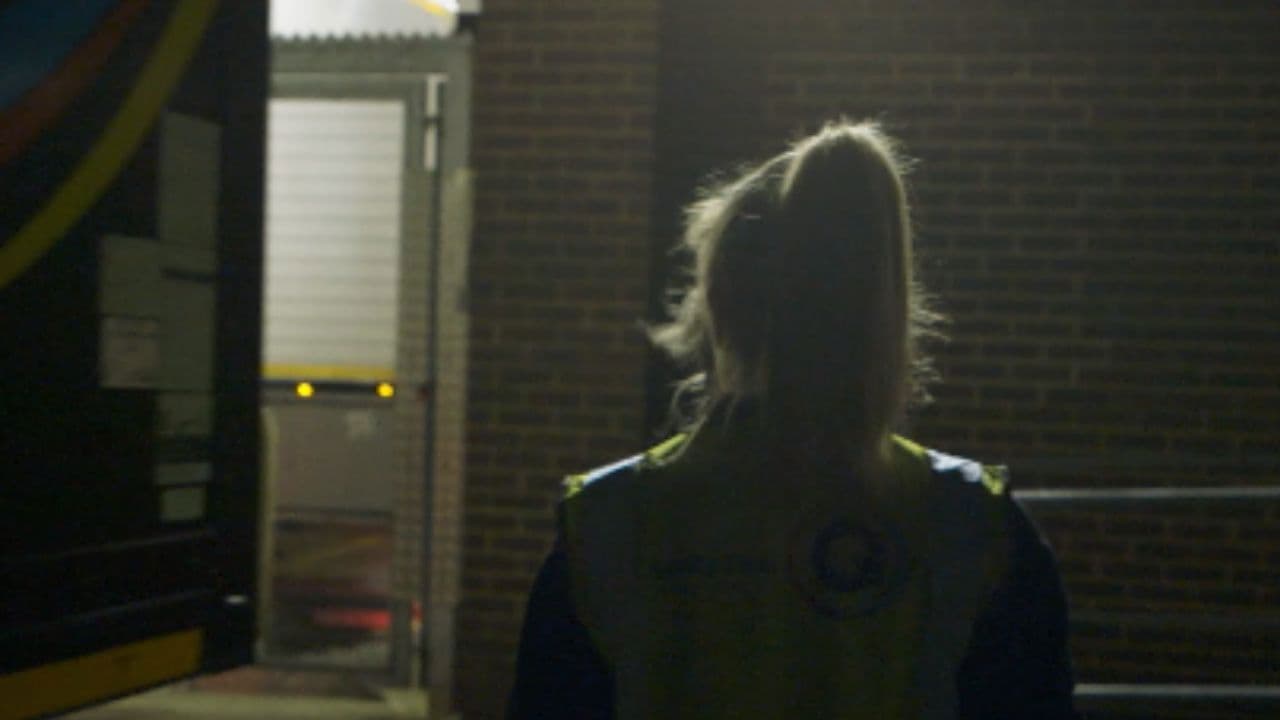 Backdrop – Day Sleeper