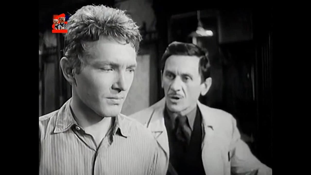 Backdrop – Námestie svätej Alžbety