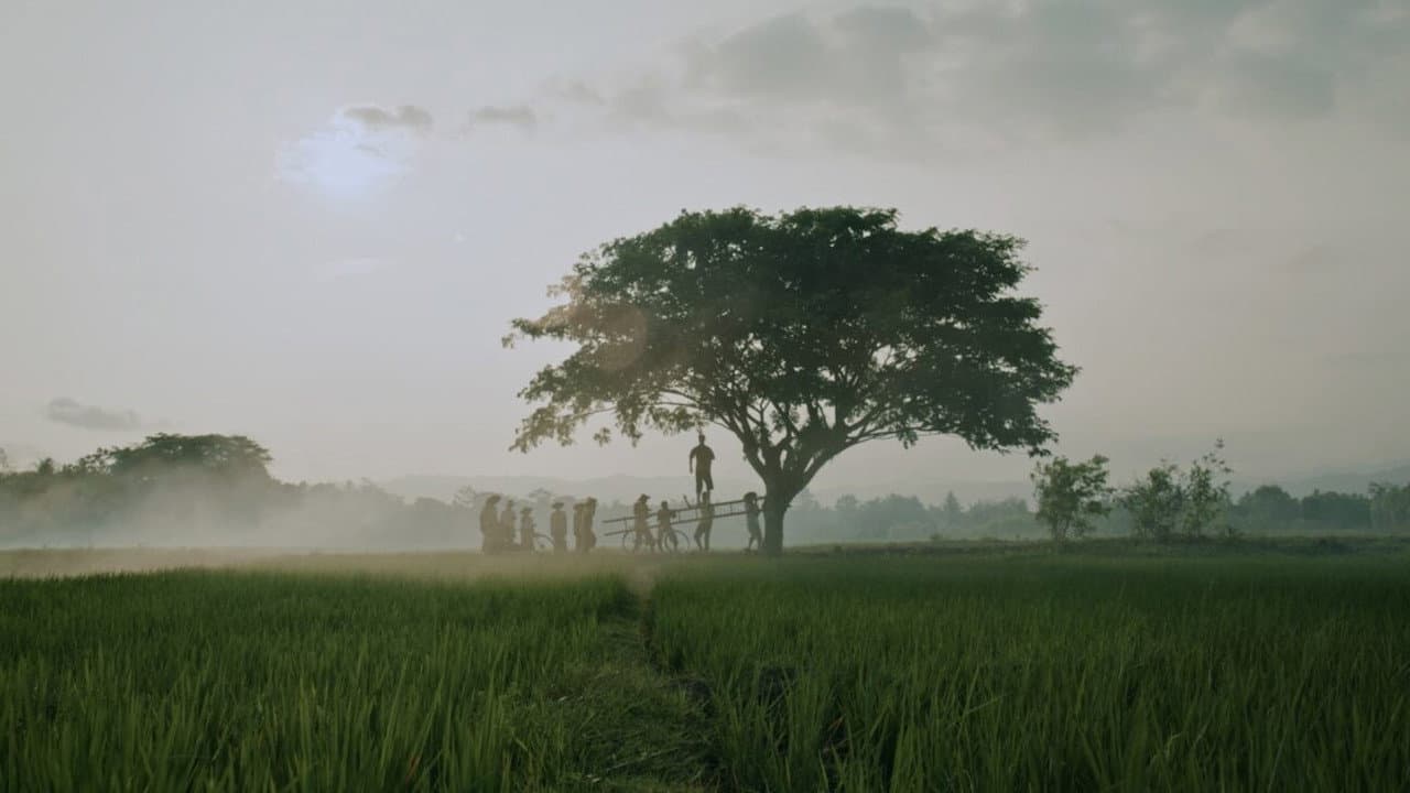 Backdrop – Bolong, 309 Hari Sebelum Tragedi Berdarah