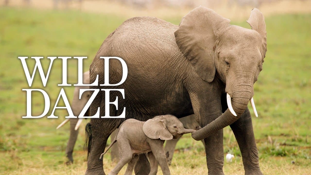 Backdrop – Wild Daze