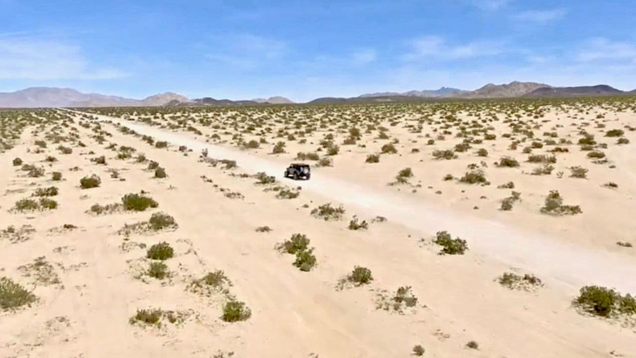 Backdrop – Principles of Curiosity