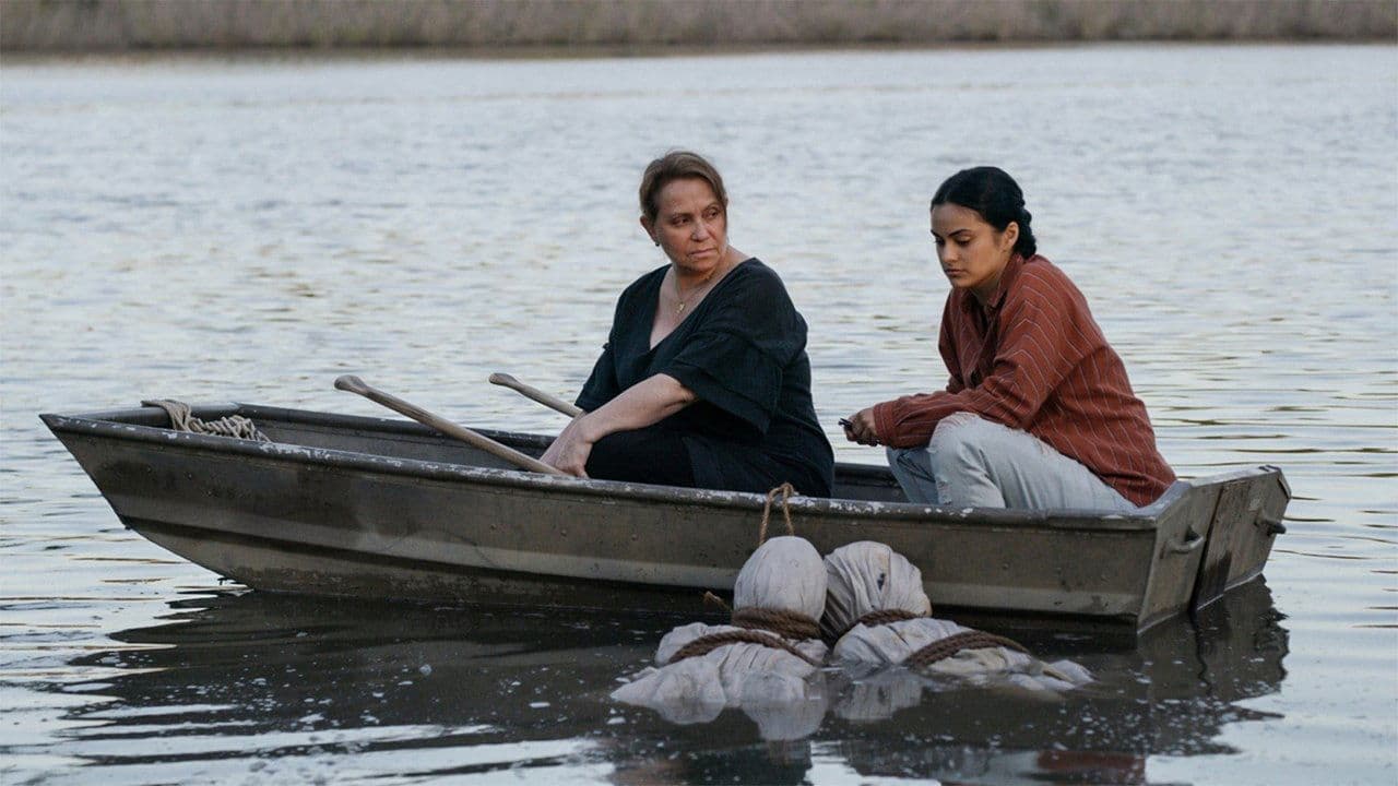 Backdrop – Coyote Lake