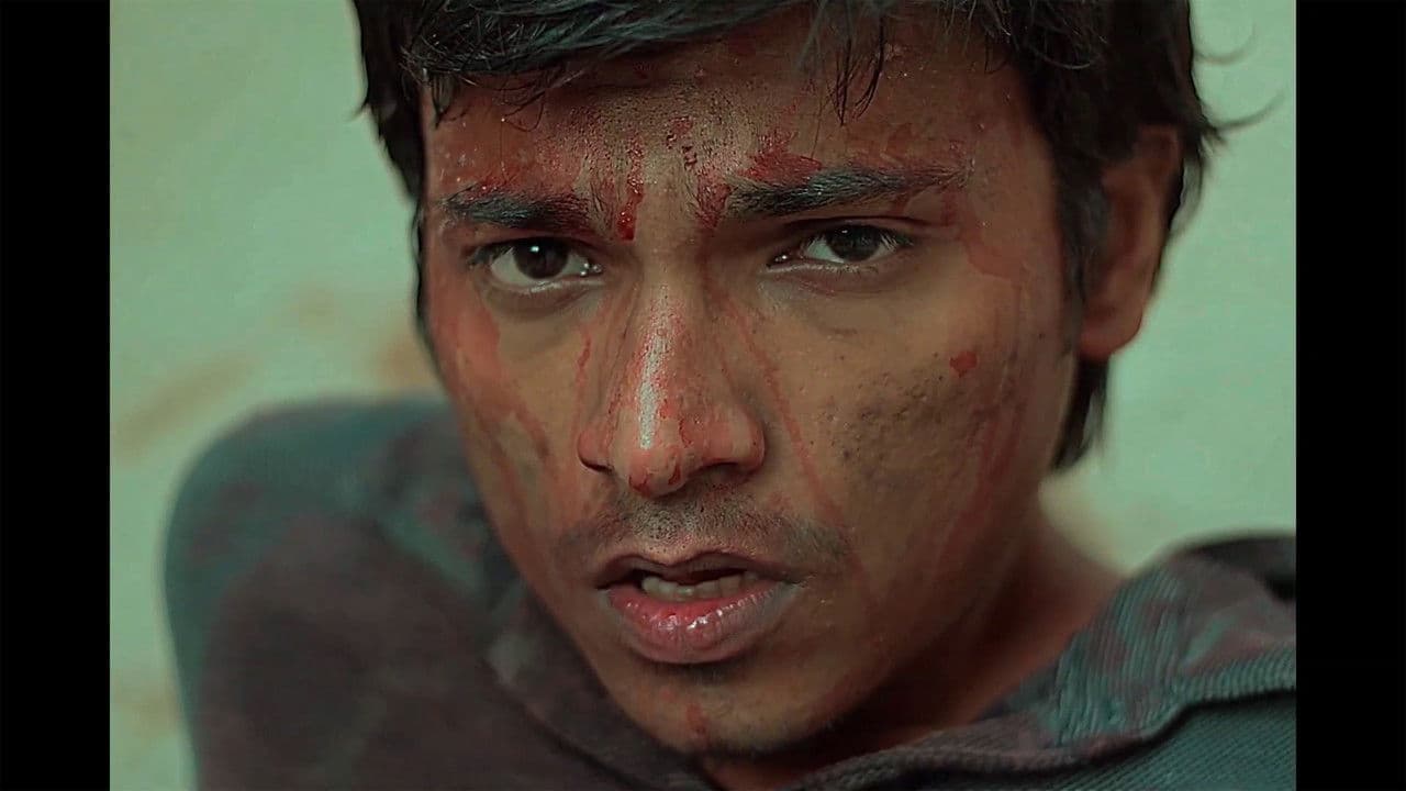 Backdrop – Manual 2155