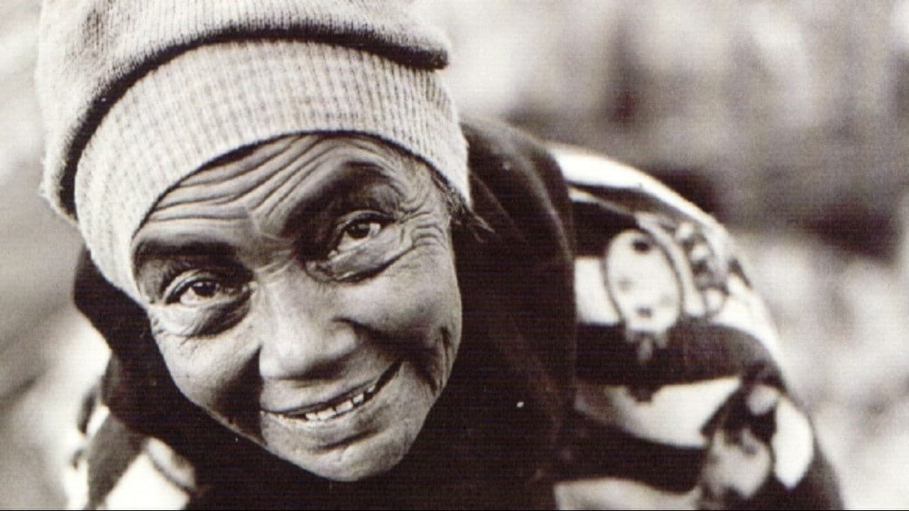 Backdrop – Estamira