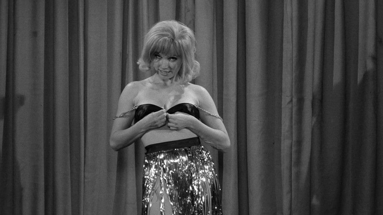 Backdrop – Beware the Black Widow