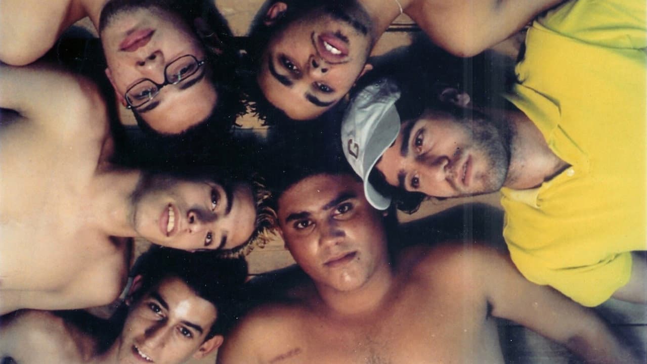 Backdrop – Tomer Ve-Hasrutim