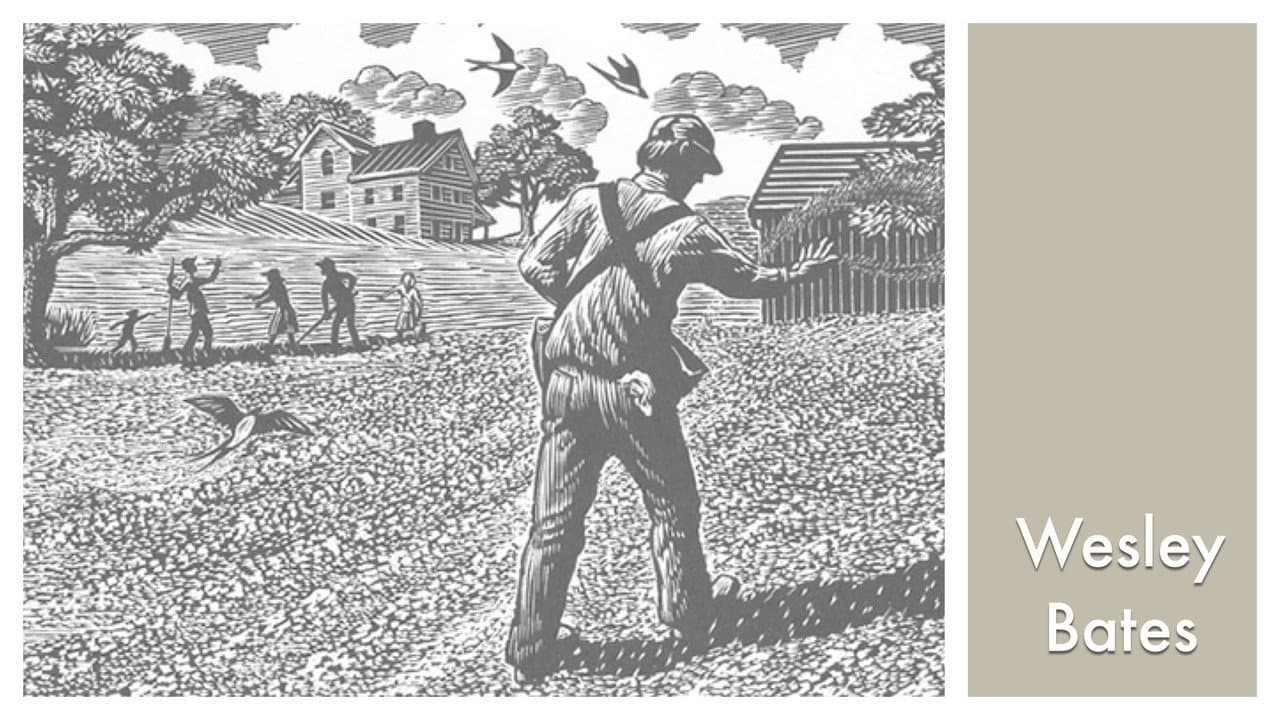 Backdrop – LOOK & SEE:  Wesley W. Bates - Wood Engraver
