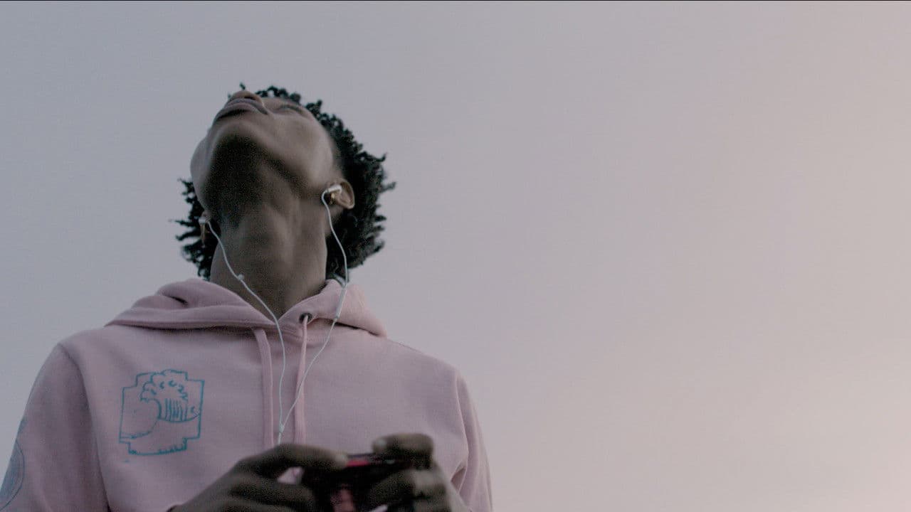 Backdrop – Summer Eclipse