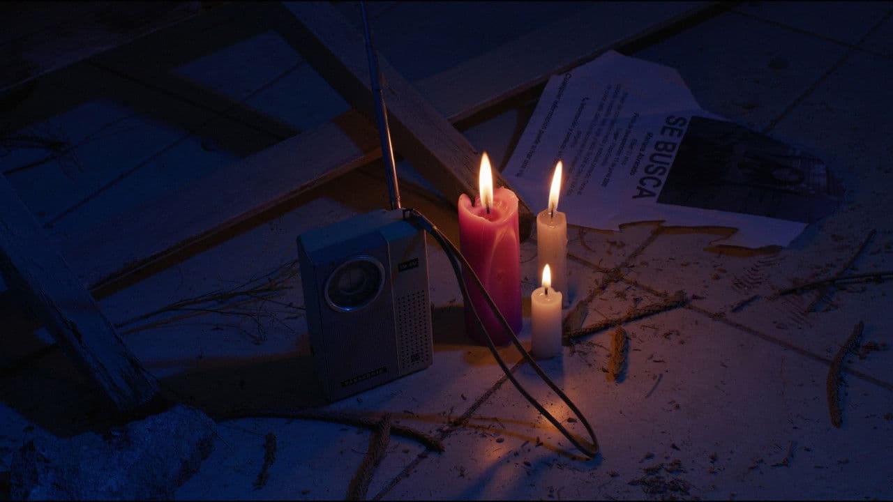 Backdrop – La Niña de Origami