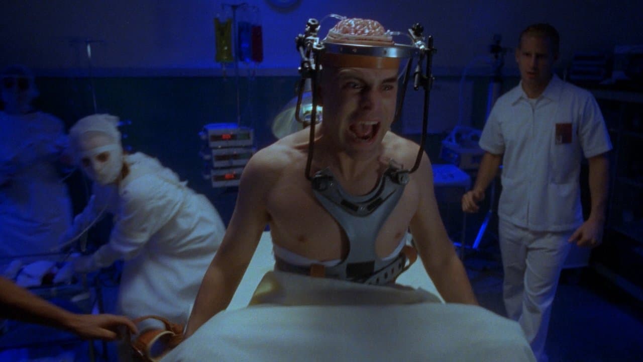 Backdrop – Horror in the Attic