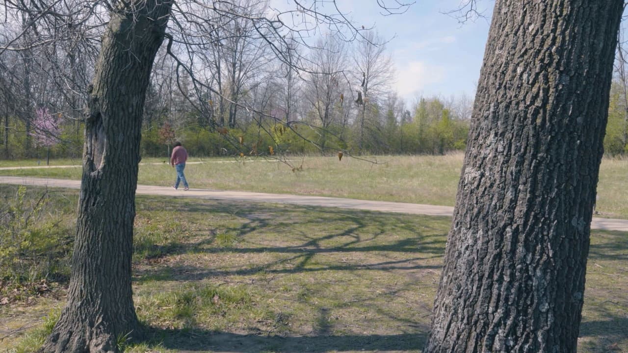 Backdrop – April Fool