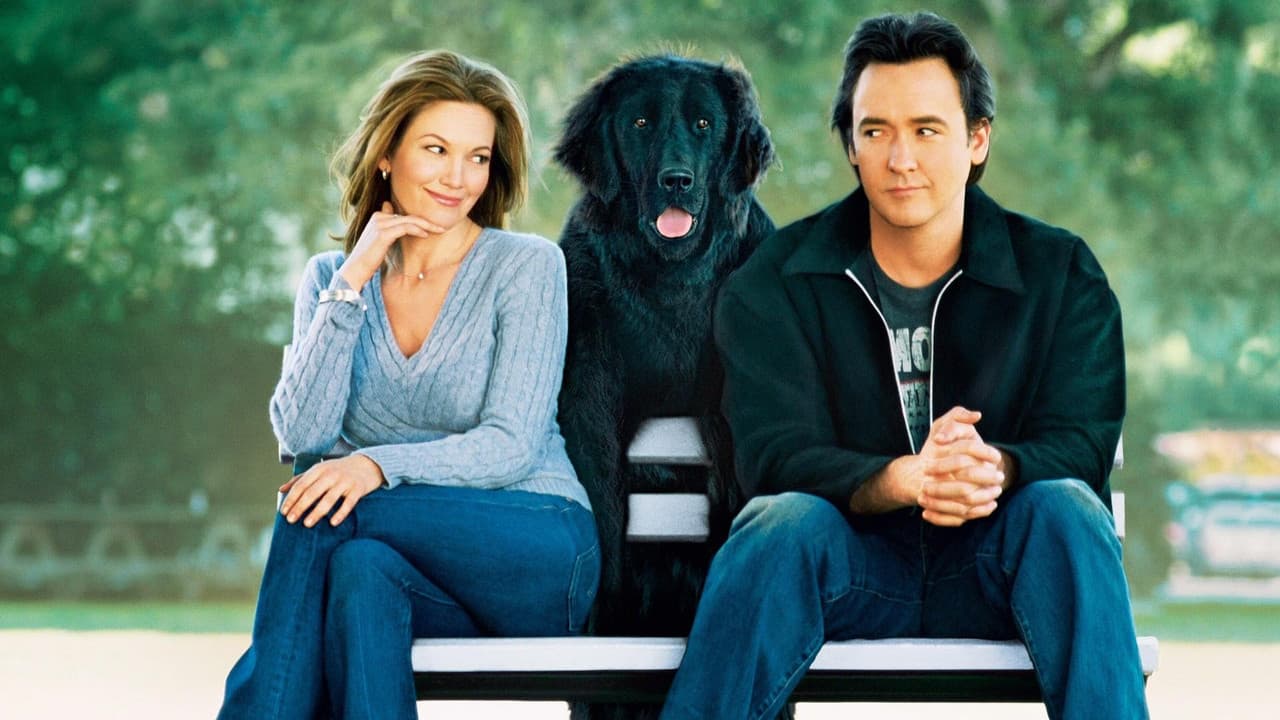 Backdrop – Frau mit Hund sucht Mann mit Herz