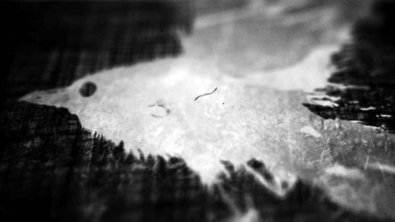 Backdrop – Ted Hughes: Stronger Than Death