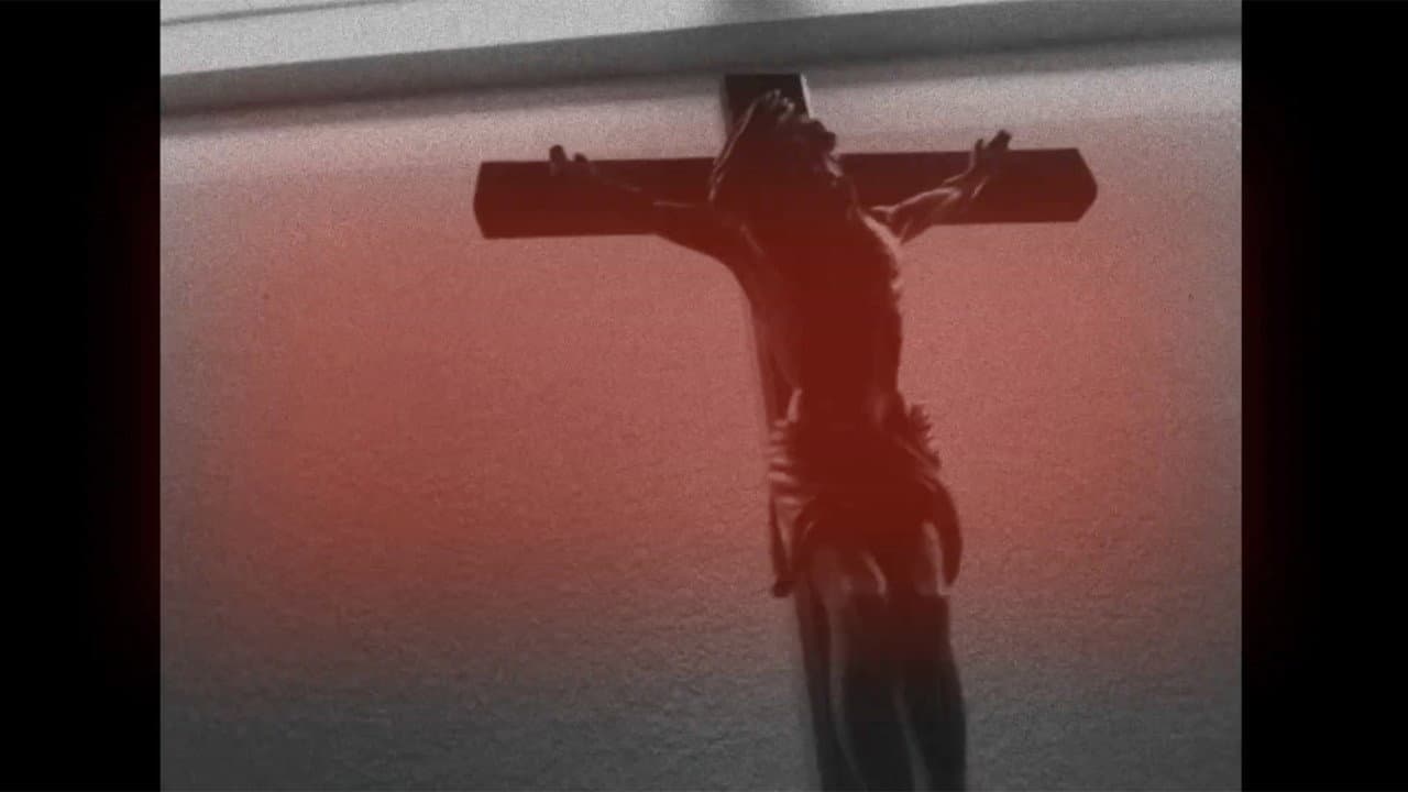 Backdrop – gottes schöpfung