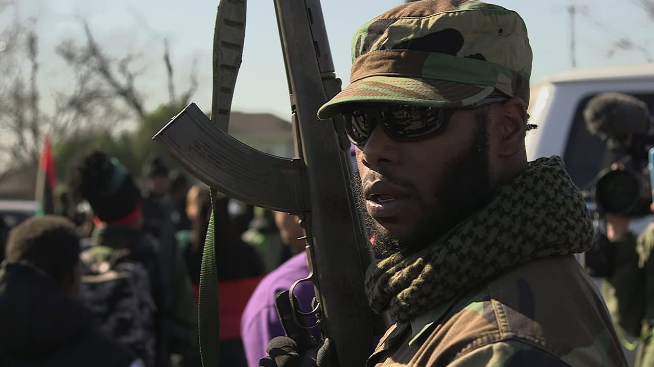 Backdrop – Black Power: America's Armed Resistance