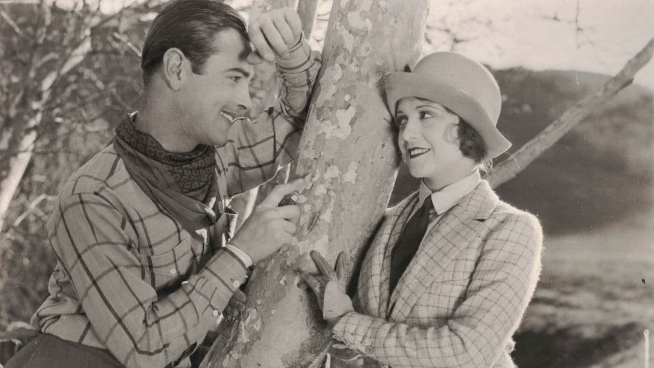 Backdrop – Wild Beauty