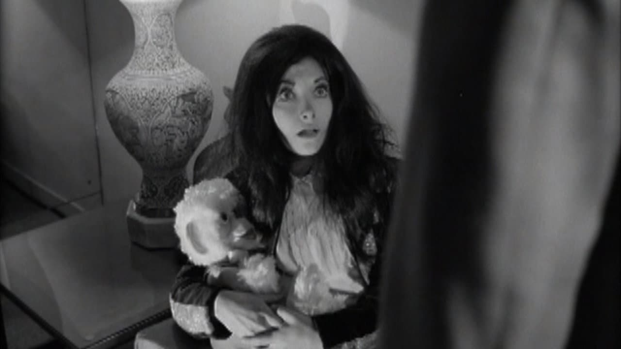 Backdrop – Confessions of a Psycho Cat