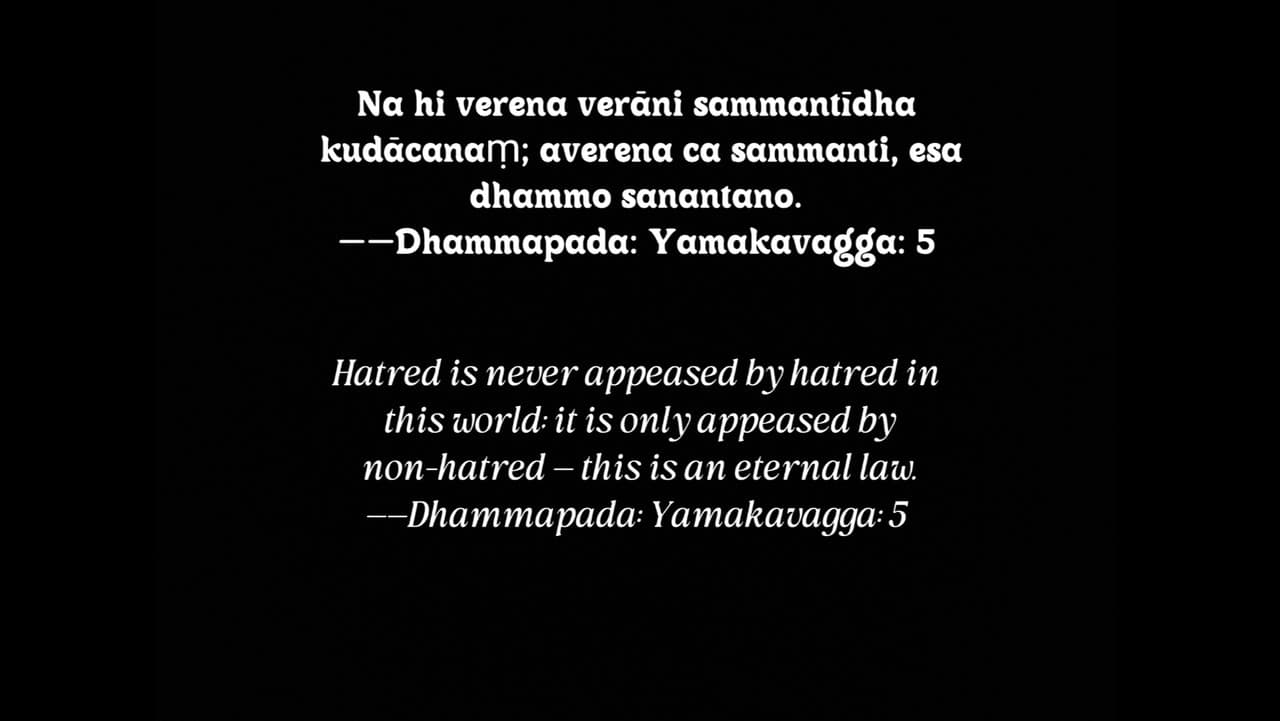 Backdrop – yarostoubijstvo