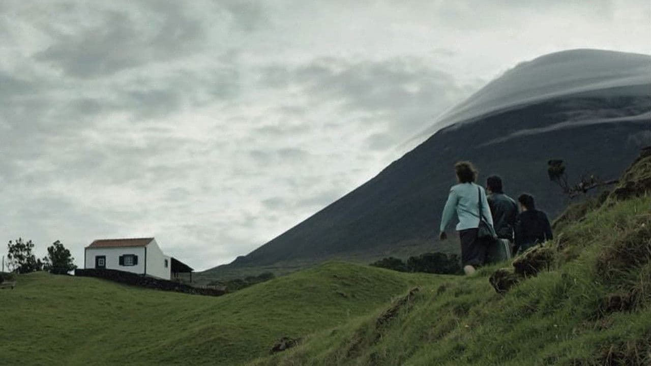 Backdrop – Cinzento e Negro