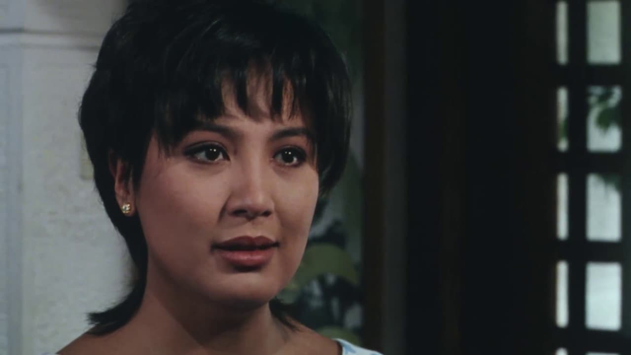 Backdrop – Madrasta