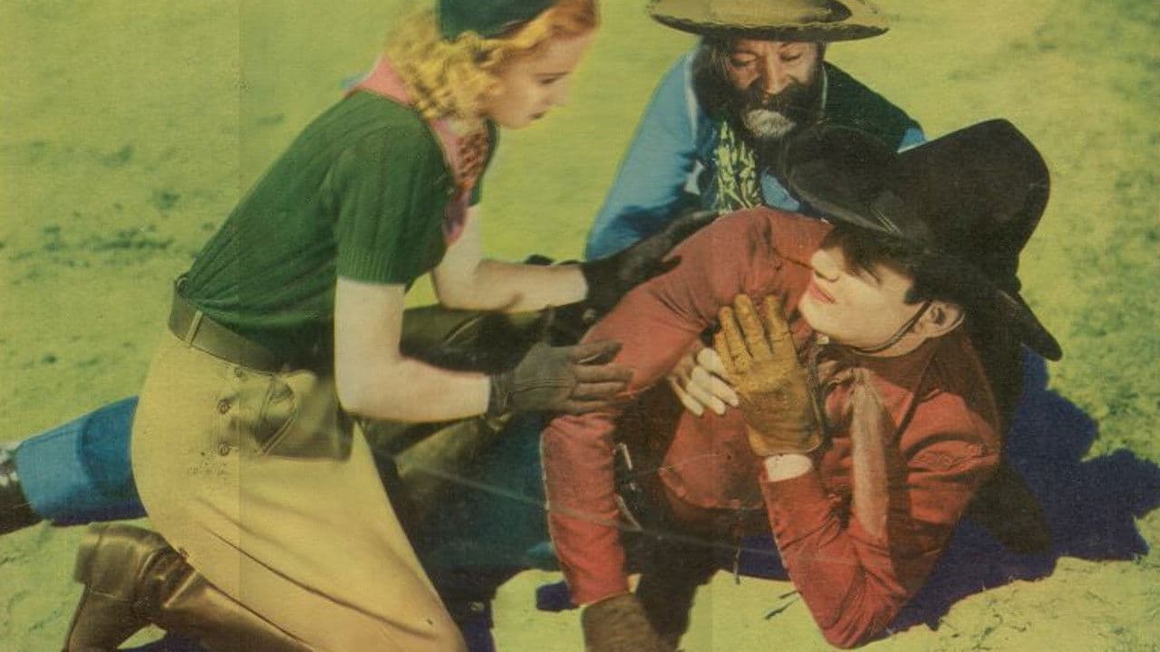 Backdrop – Knight of the Plains