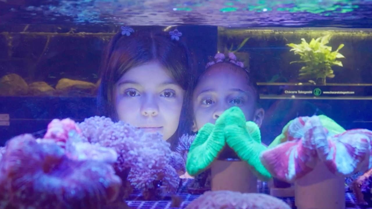 Backdrop – Aquário