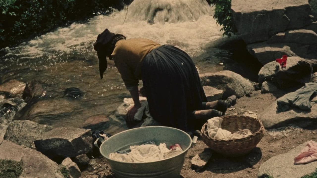 Backdrop – Un giorno in Barbagia