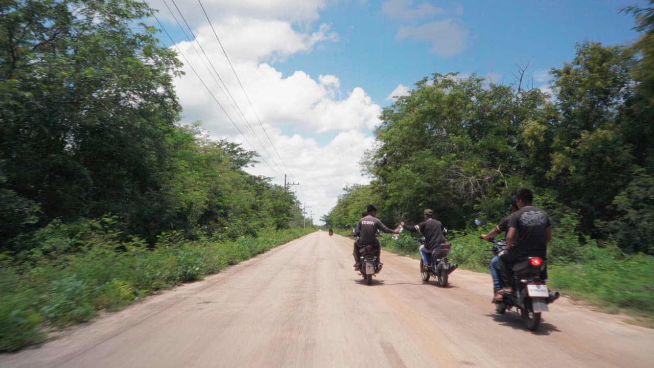 Backdrop – David (Por Ahora)