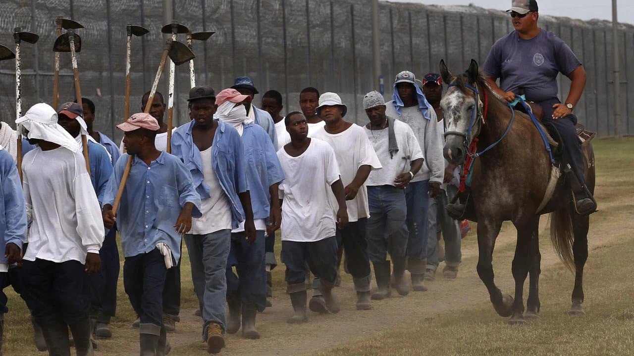 Backdrop – The Farm: Angola, USA