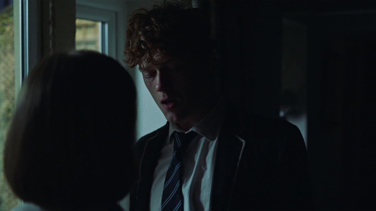 Backdrop – Dogbone