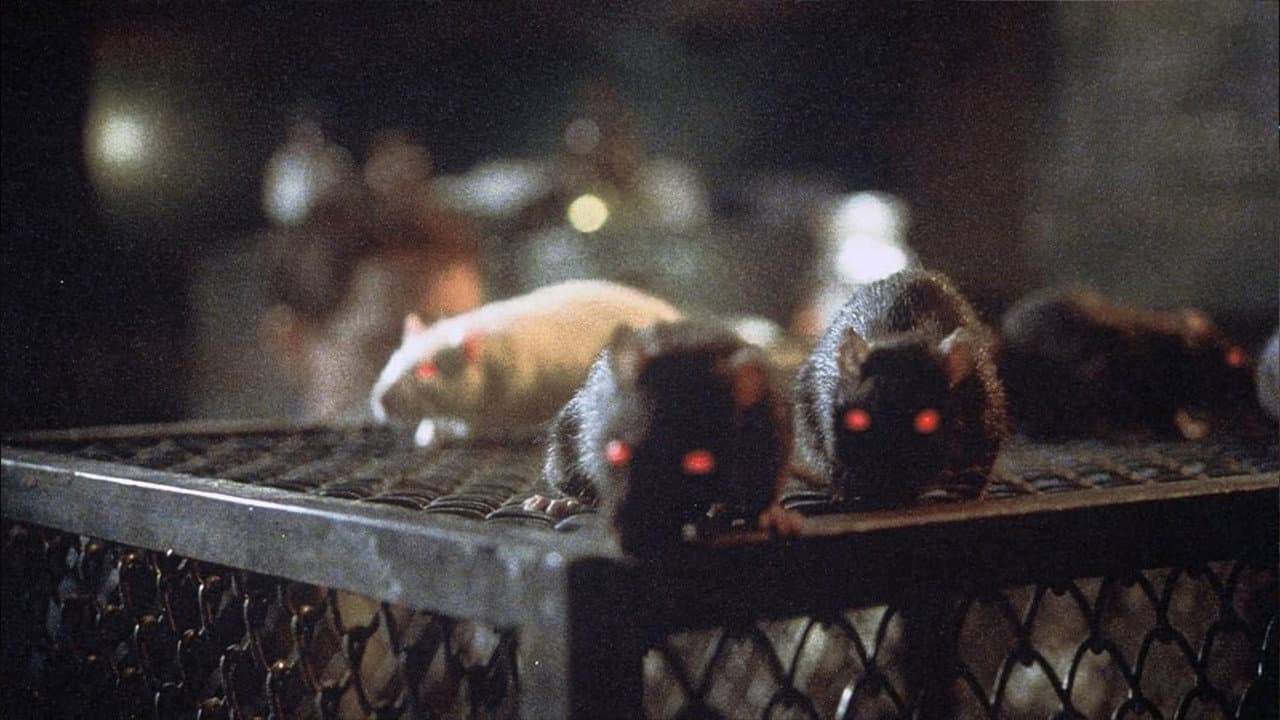 Backdrop – Rats - Mörderische Brut