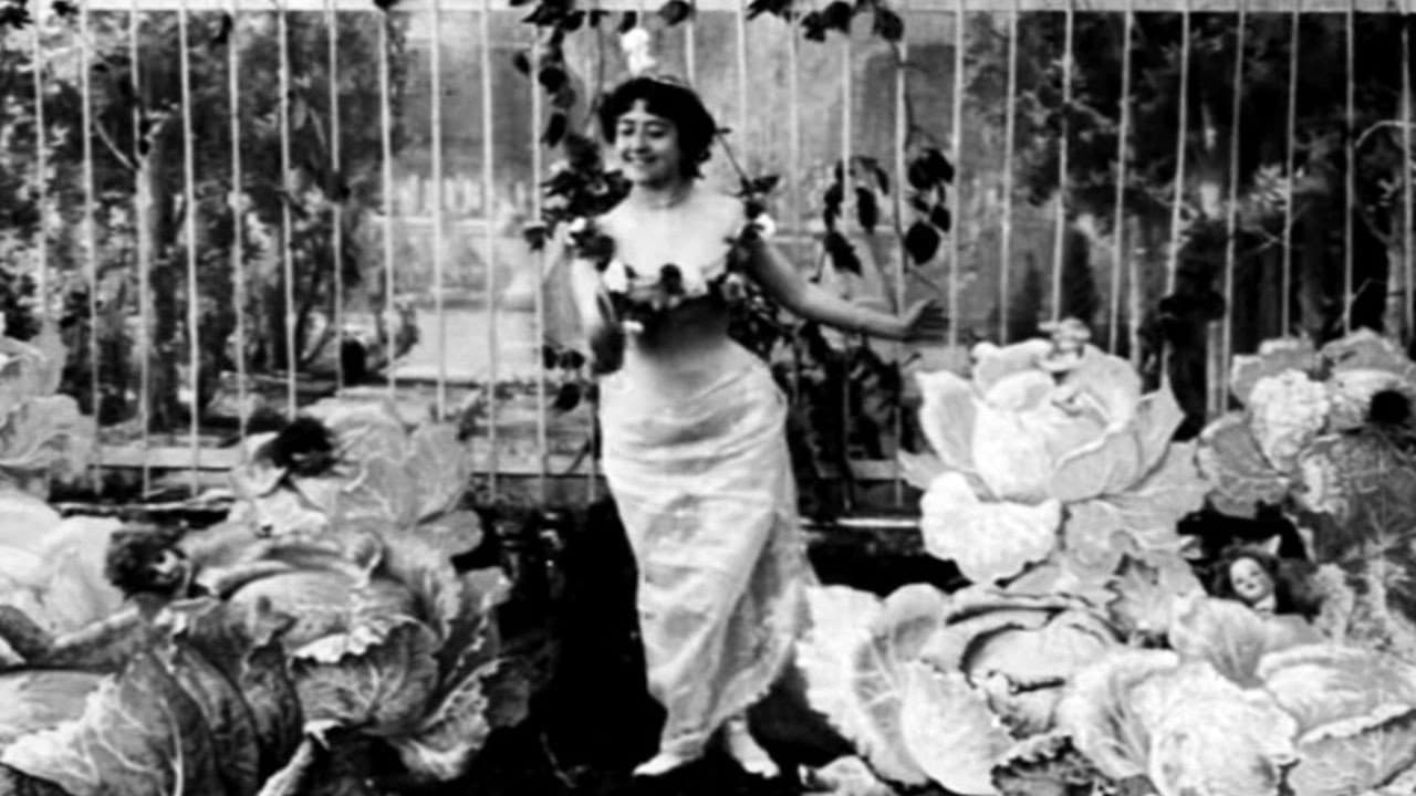 Backdrop – La fée aux choux