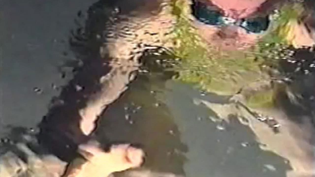 Backdrop – Atlanta