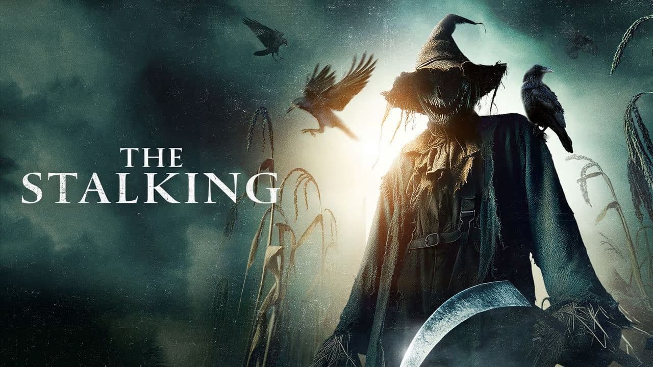 Backdrop – The Stalking