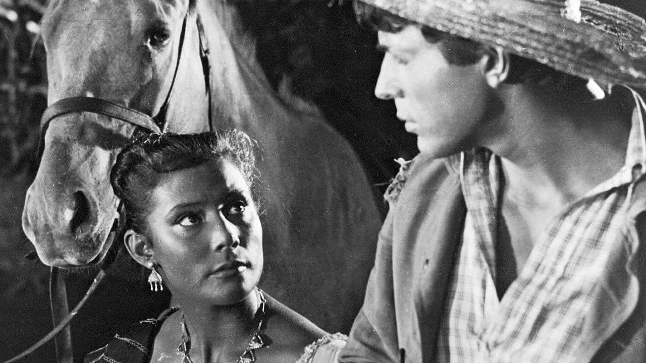 Backdrop – Мексиканец