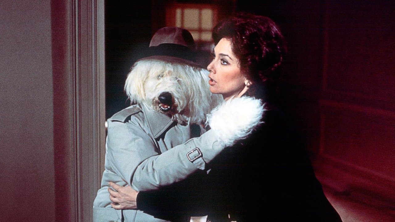 Backdrop – Zotti, das Urviech