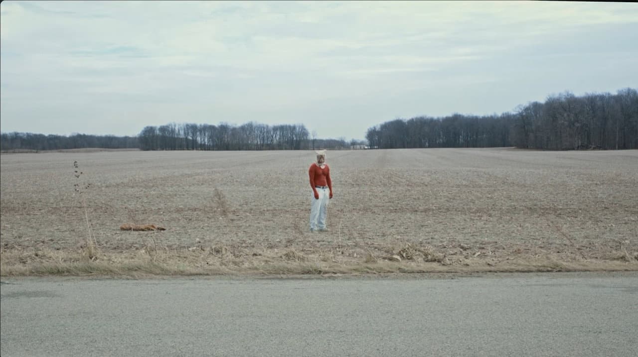Backdrop – Idol Seed