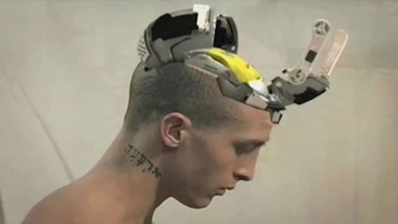 Backdrop – Adicolor Yellow