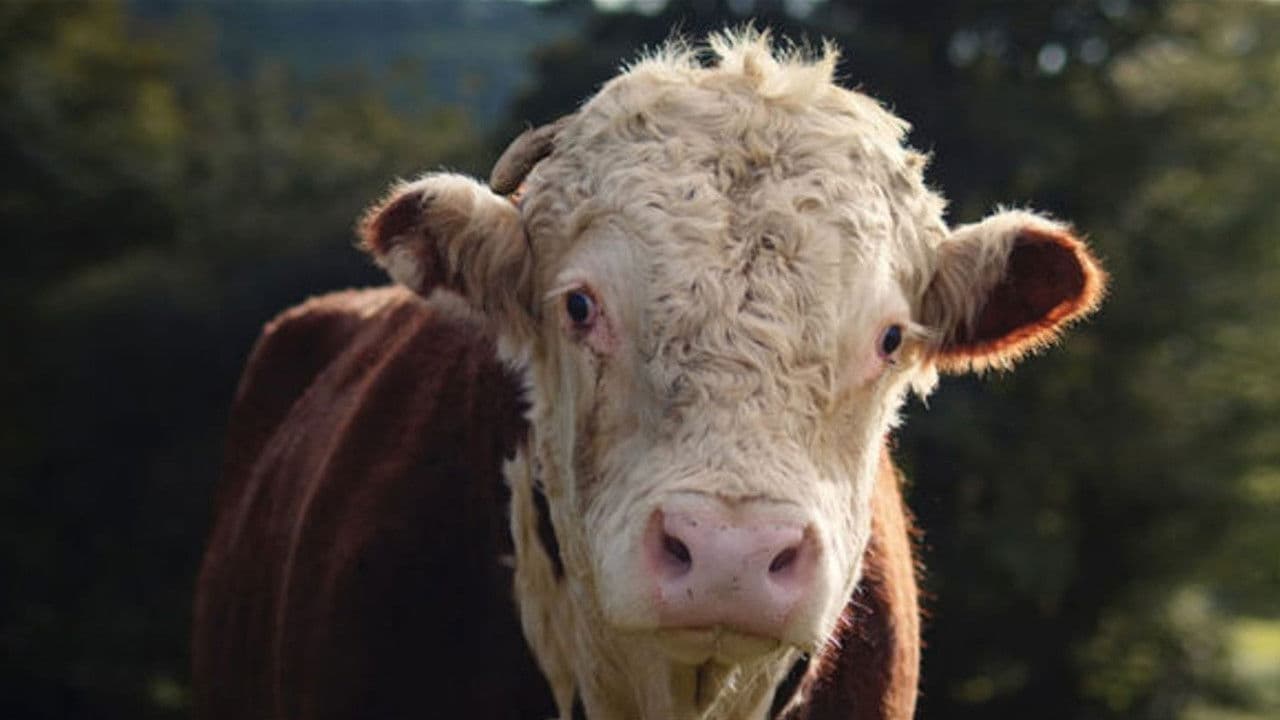 Backdrop – Little Berlin