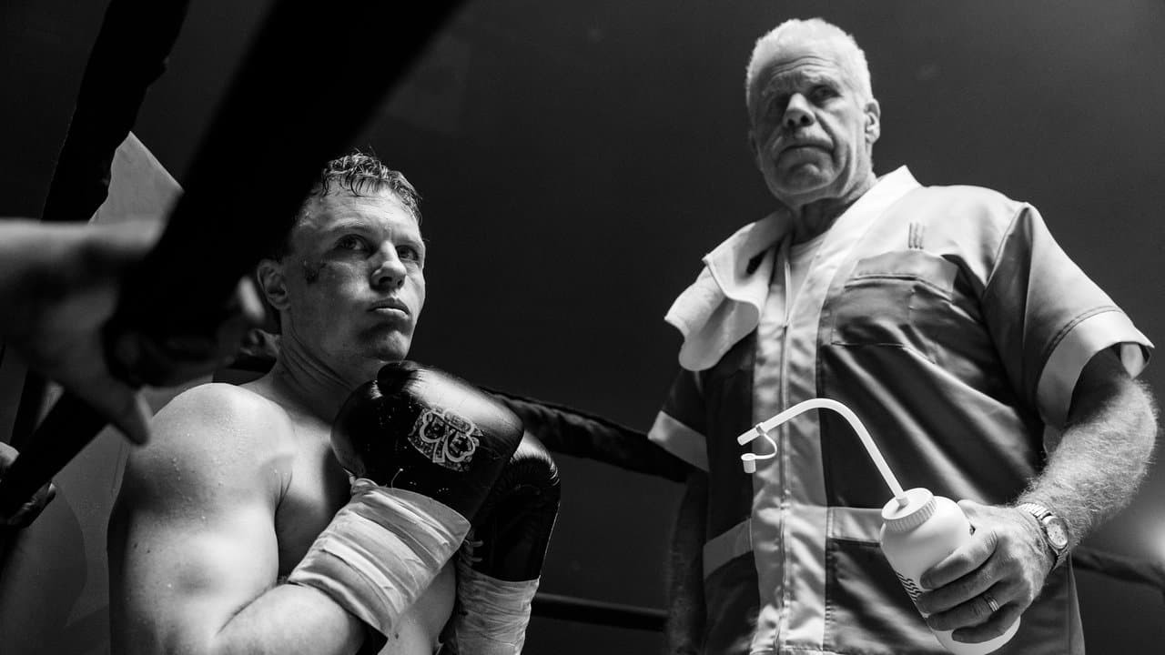 Backdrop – Day of the Fight