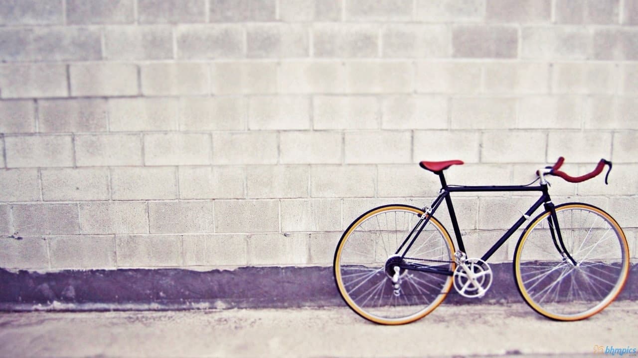 Backdrop – fixie