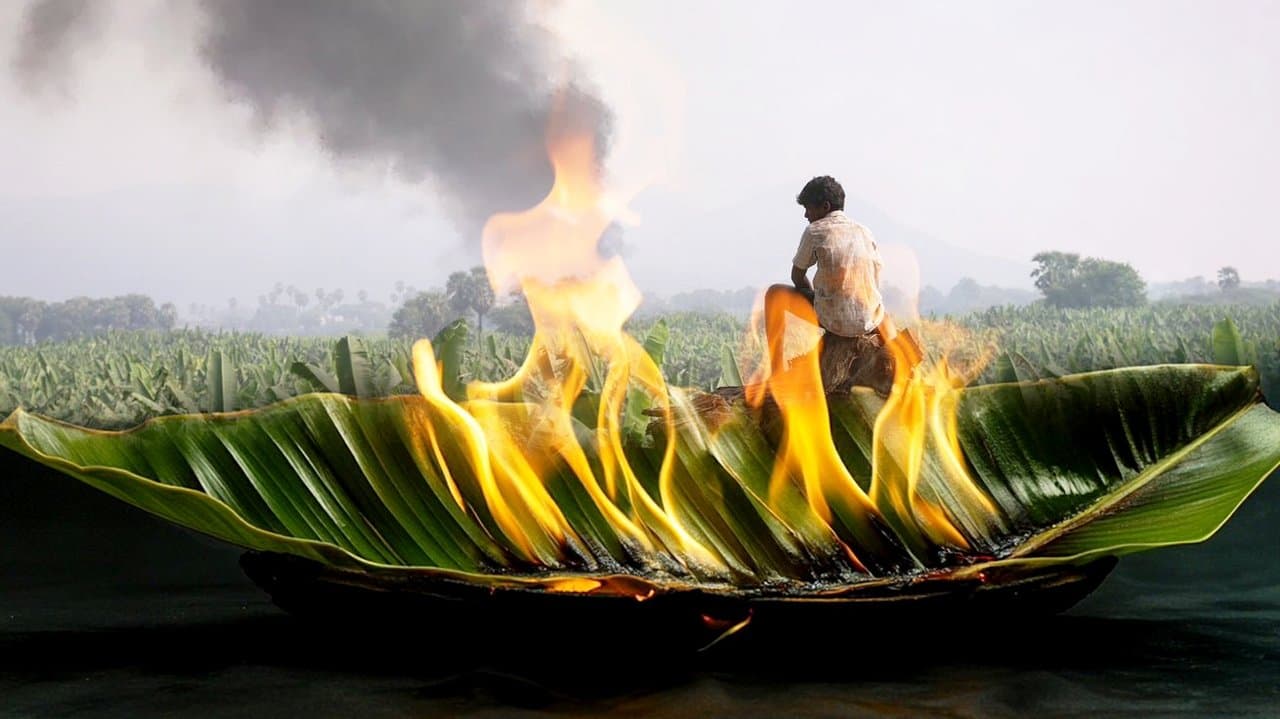 Backdrop – வாழை