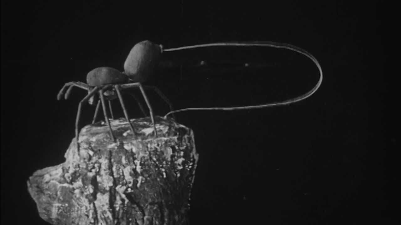 Backdrop – To Demonstrate How Spiders Fly