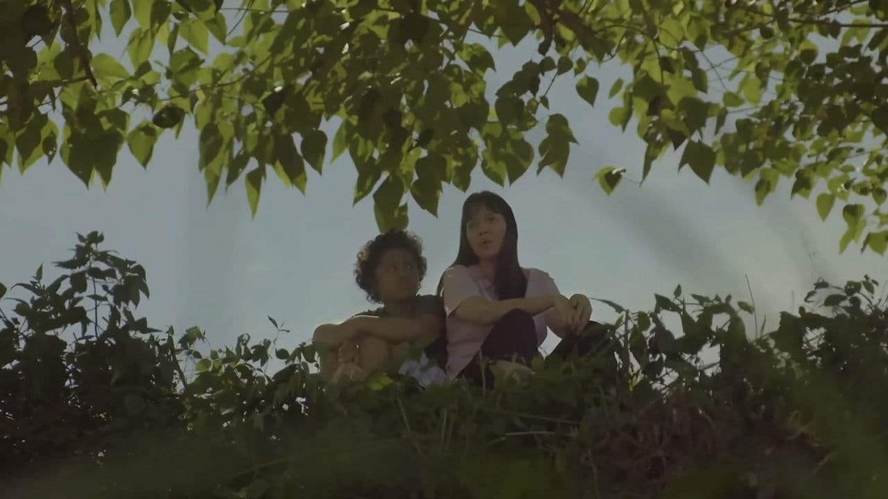 Backdrop – Sol Searching