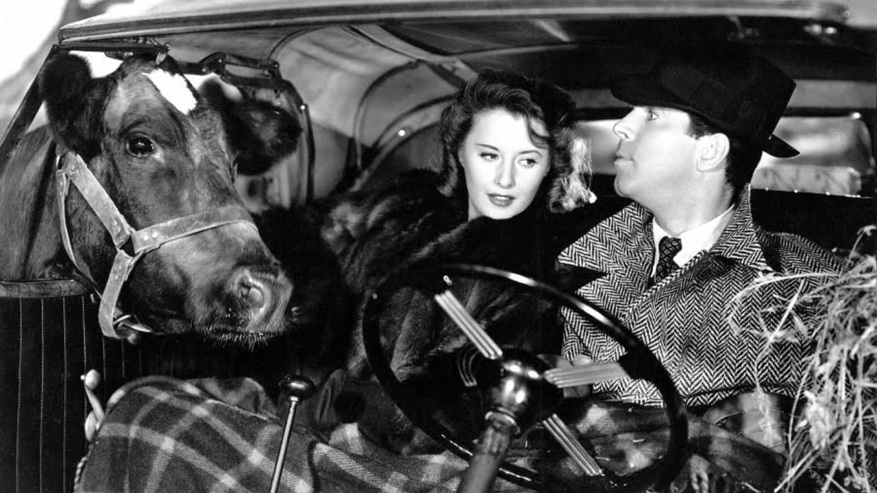 Backdrop – Die unvergessliche Weihnachtsnacht