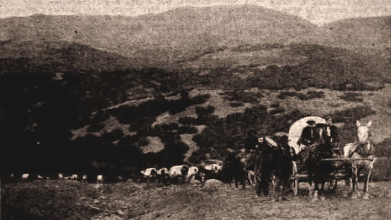Backdrop – One Hundred Years of Mormonism