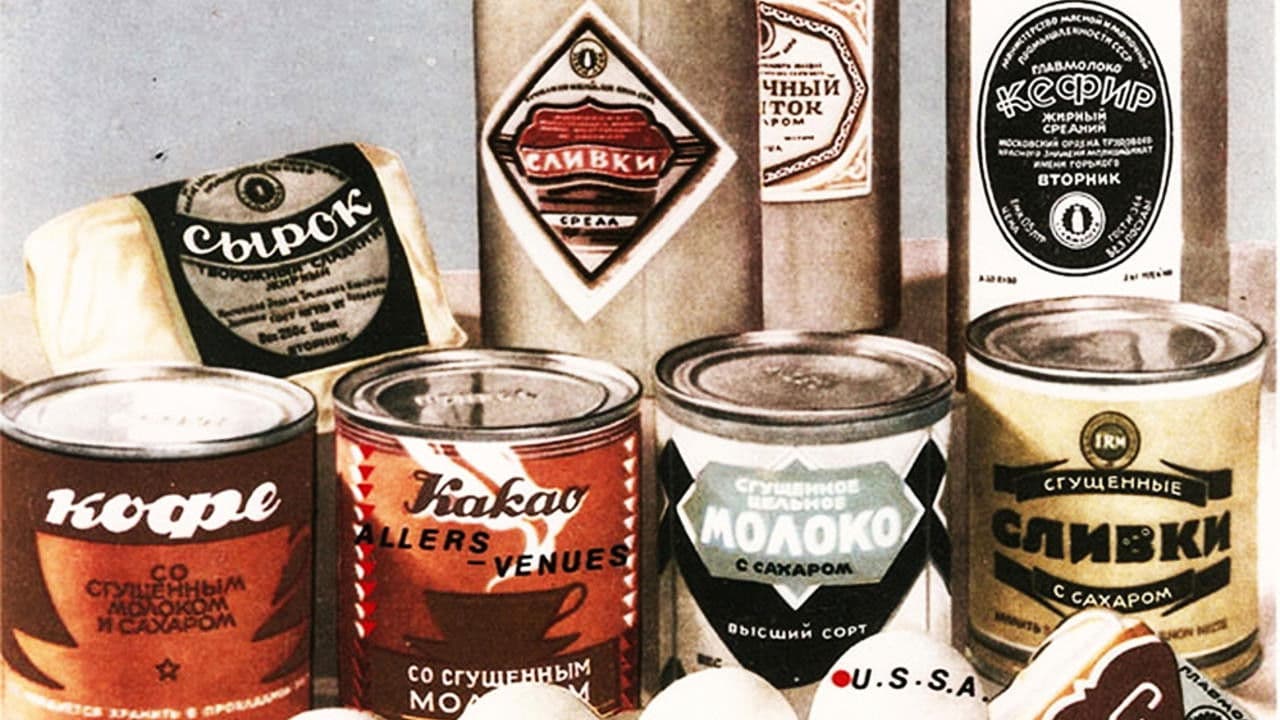 Backdrop – Nikita Kino