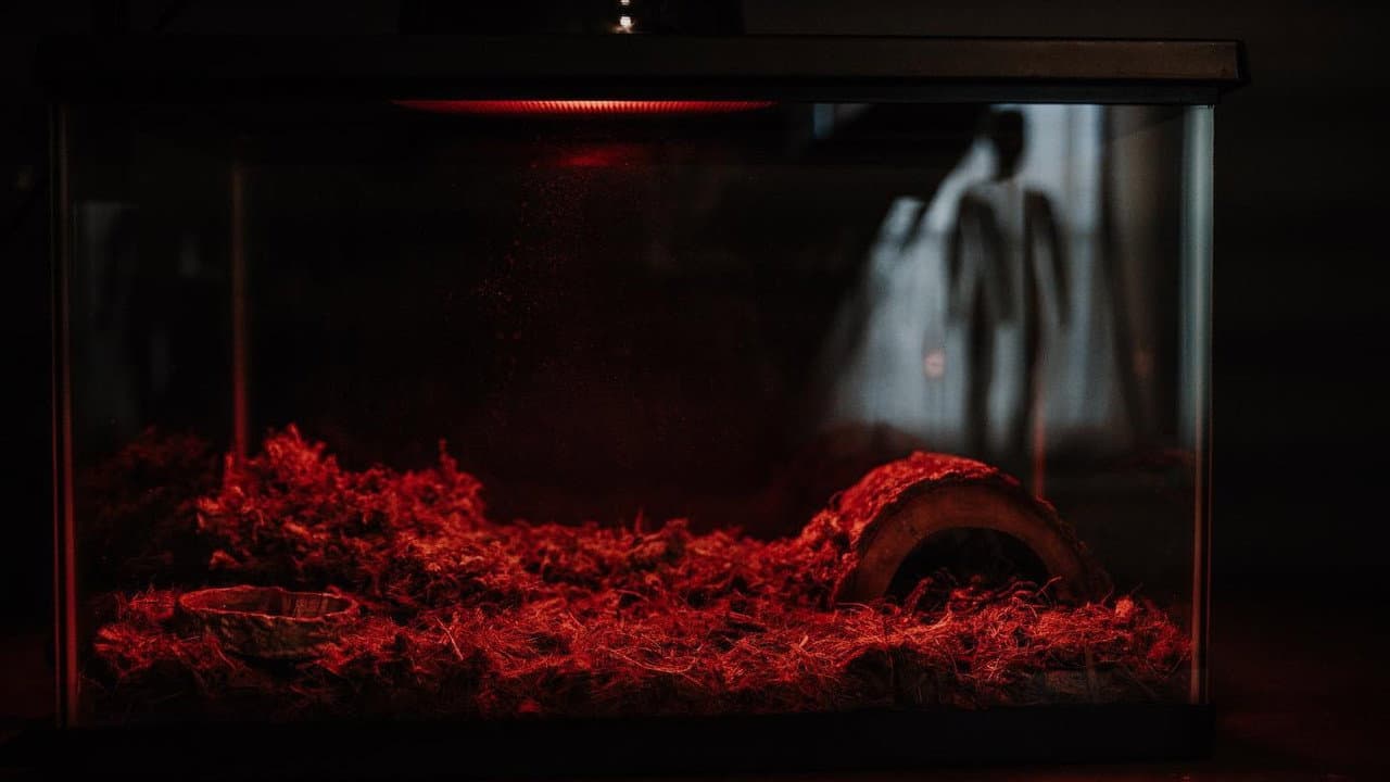 Backdrop – Morning Deliveries (Milkman #1)